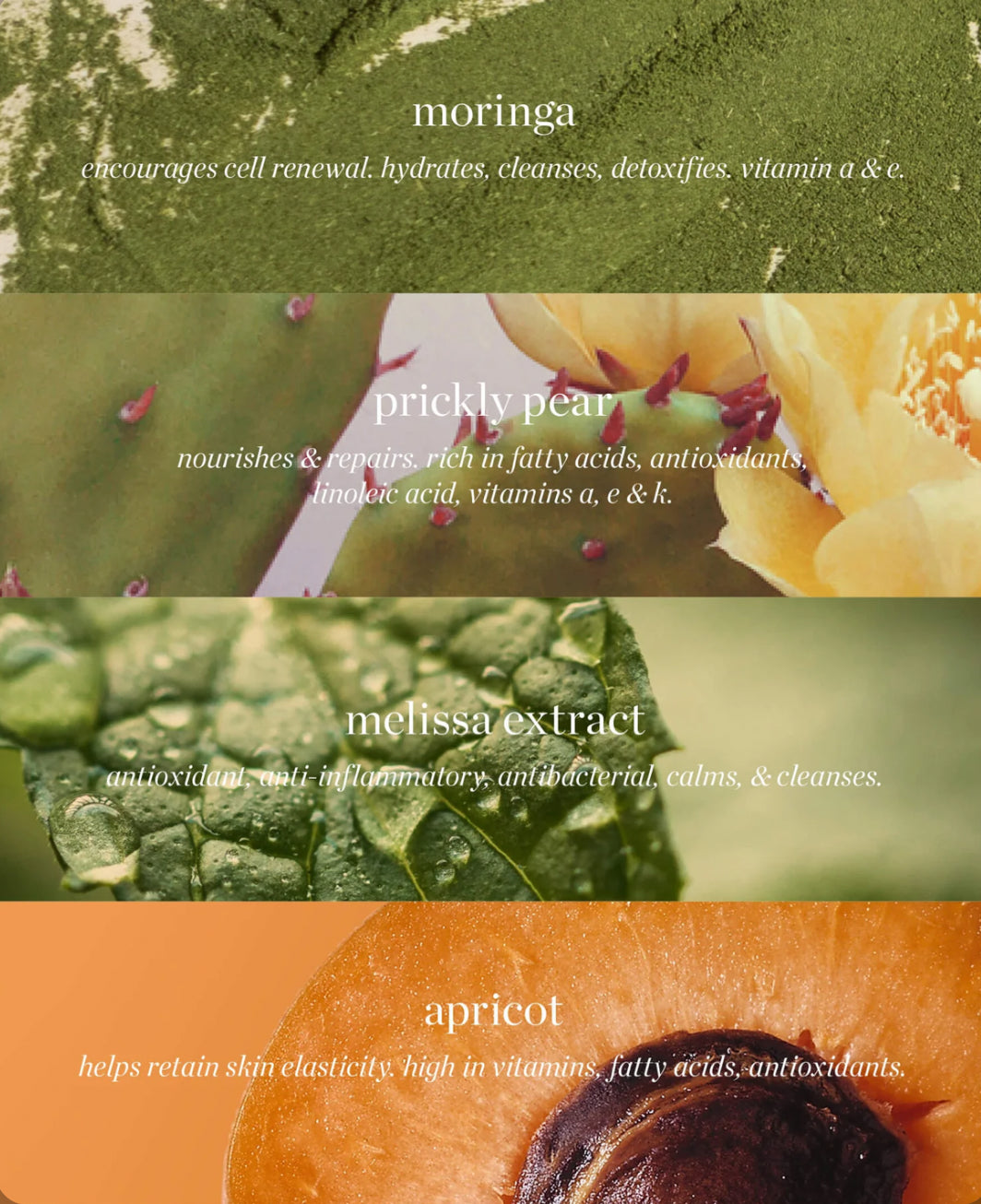 Moringa All-Beauty Crème