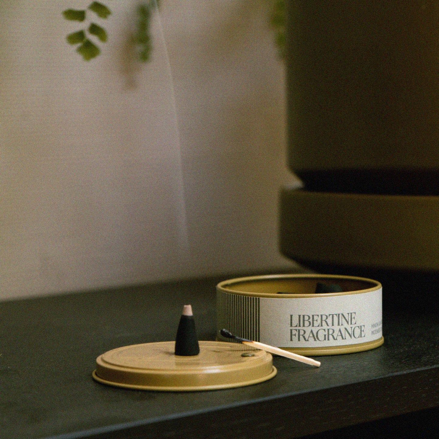 Hinoki & Moss Incense Cones