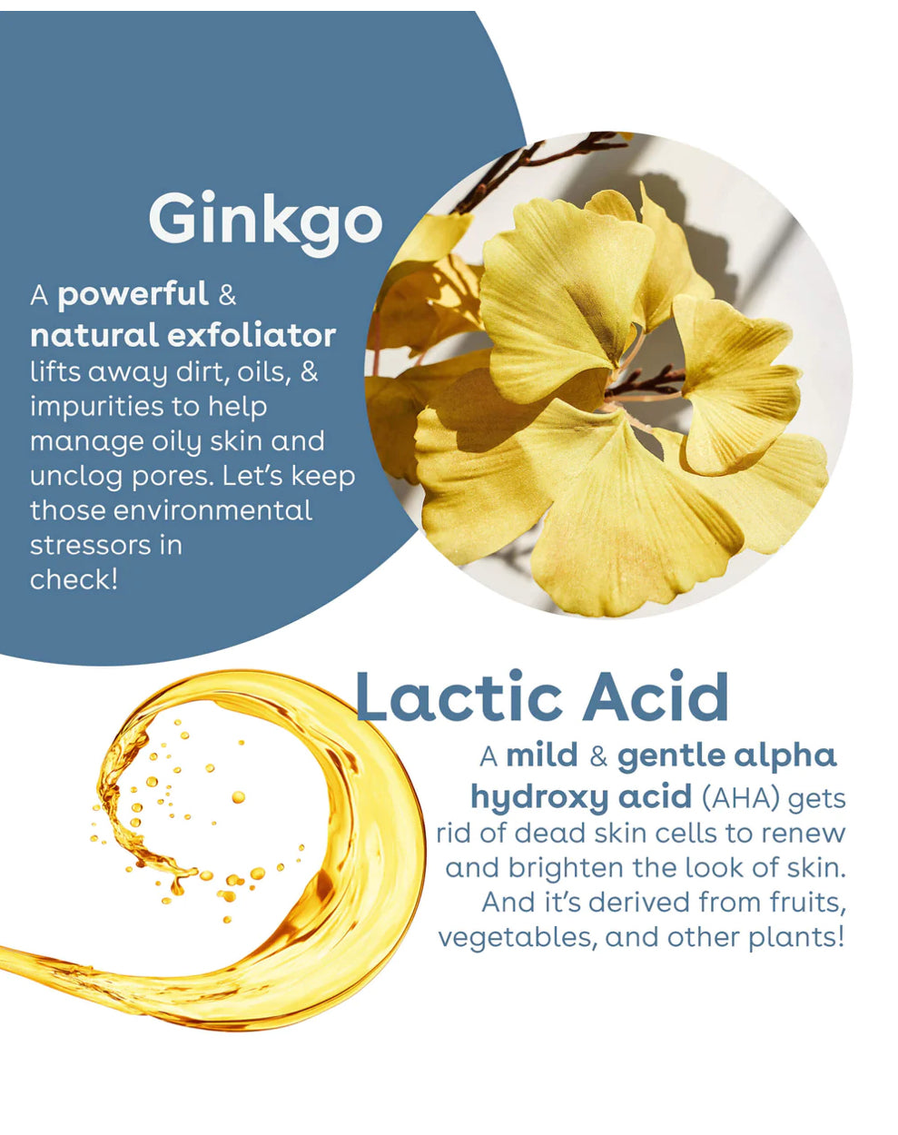 Defend Gentle Exfoliator
Deeply purifying pore cleanser with Ginkgo