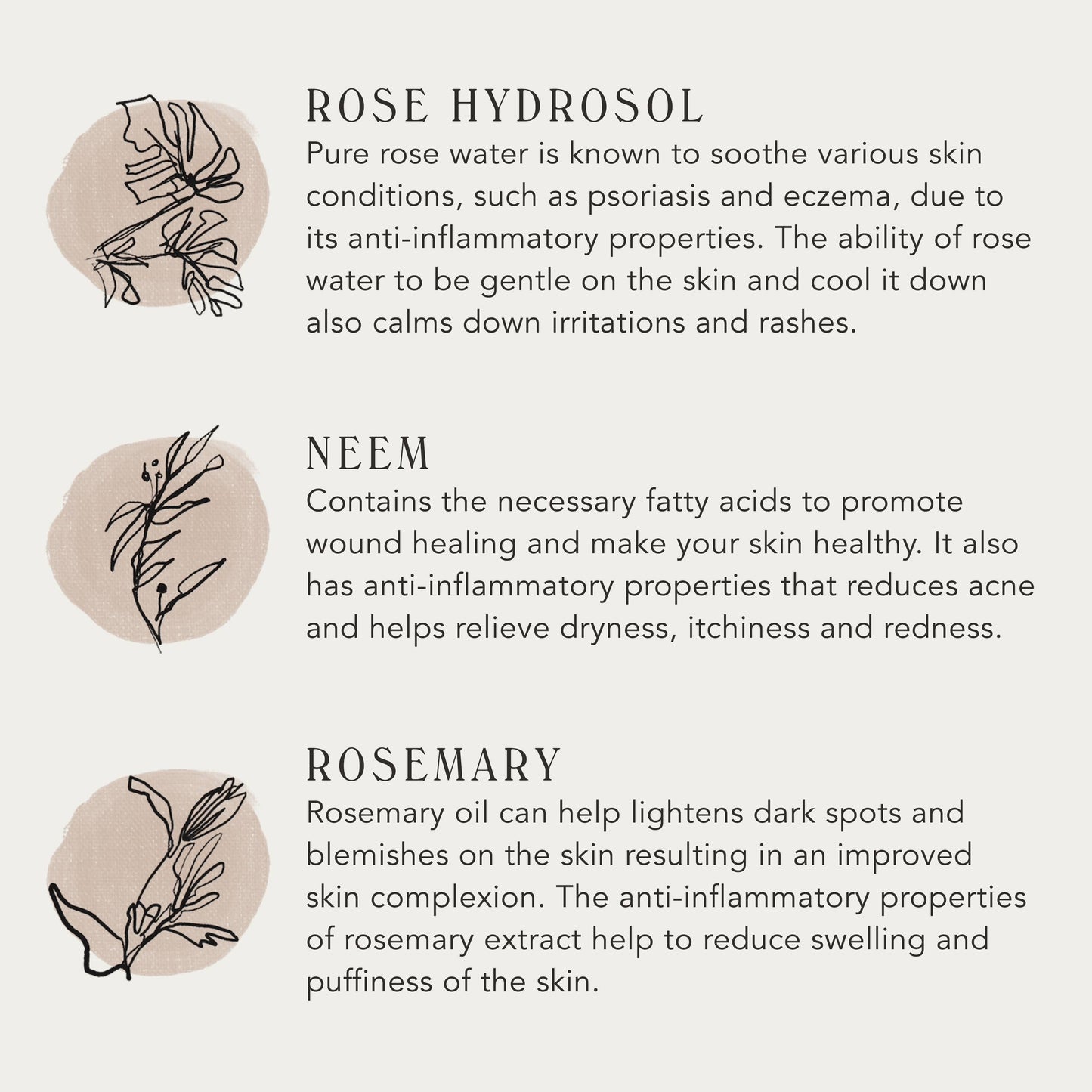 ROSEWATER CREAM | Radiance Enhancing Moisturizer