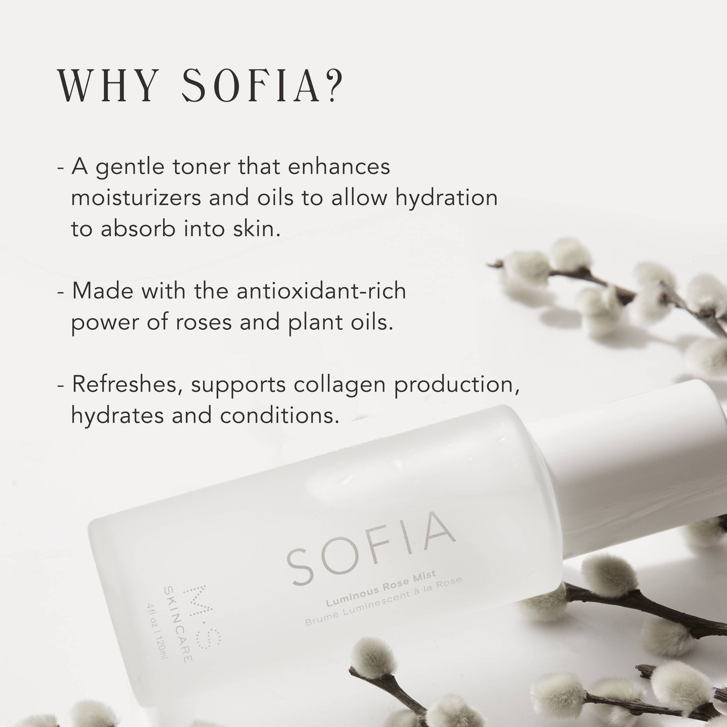 SOFIA | Luminous Rose Mist