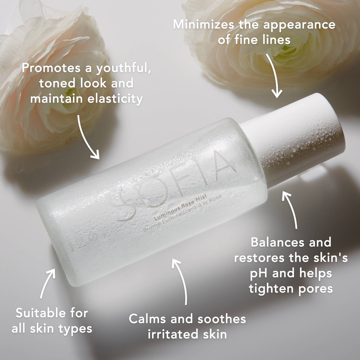 SOFIA | Luminous Rose Mist