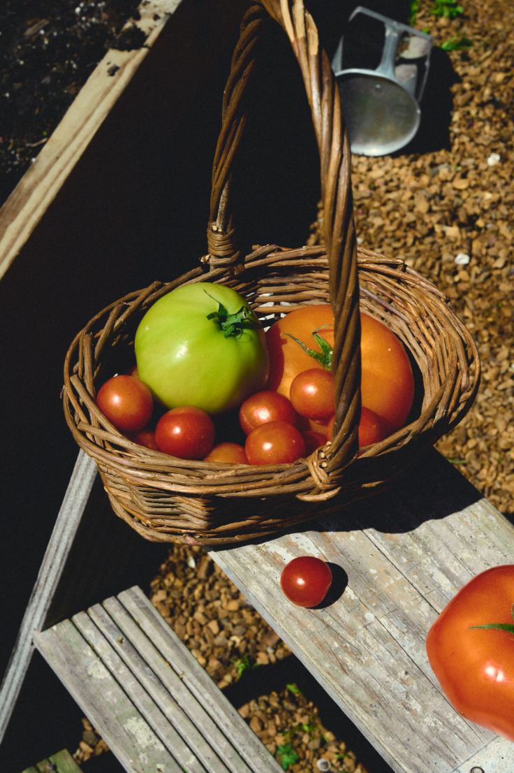 TENNESSEE TOMATO CANDLE
