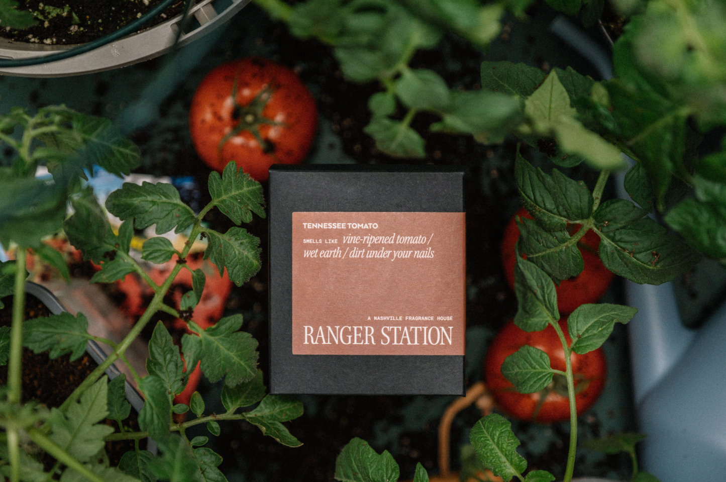 TENNESSEE TOMATO CANDLE