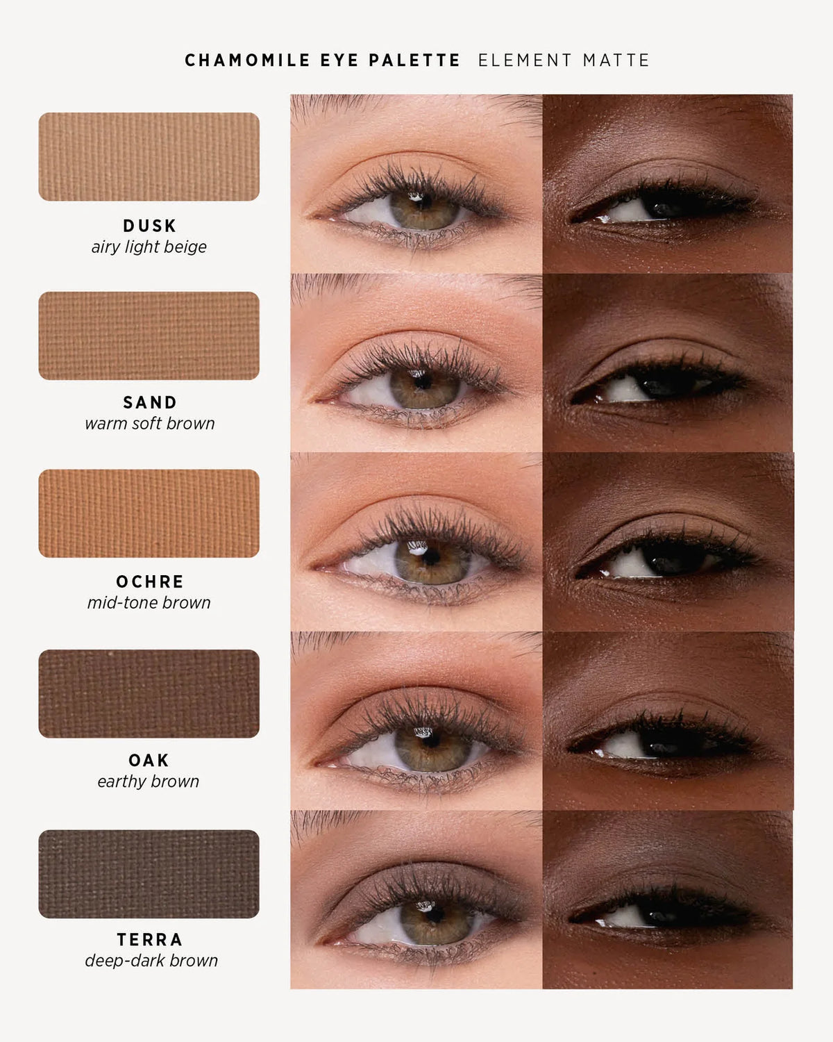 chamomile eye palette