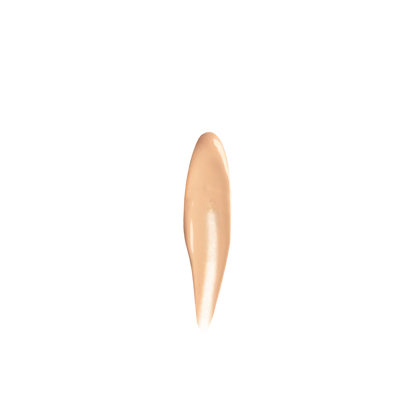 Perfect Under Eye Concealer
