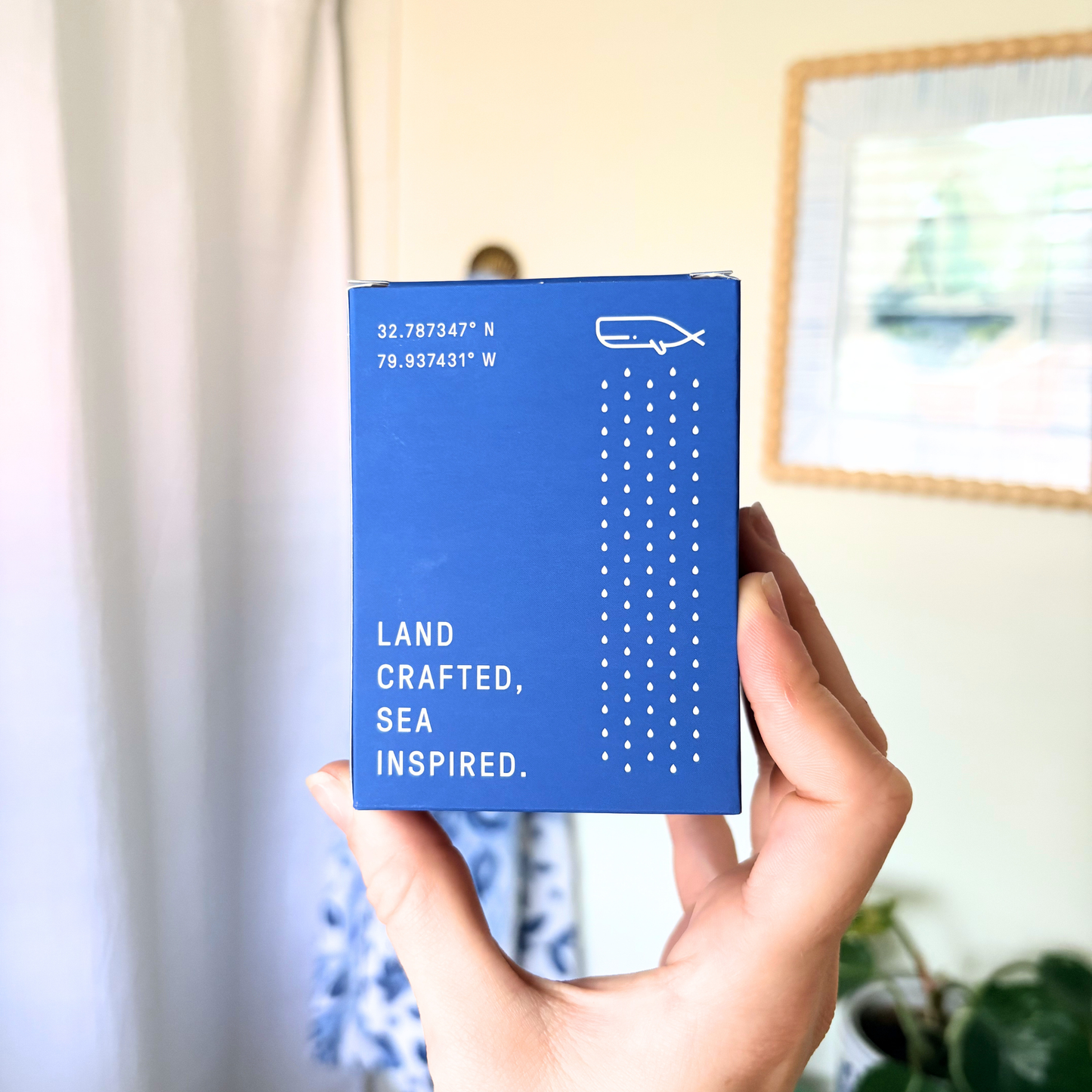 Oceanswept Shower Steamers