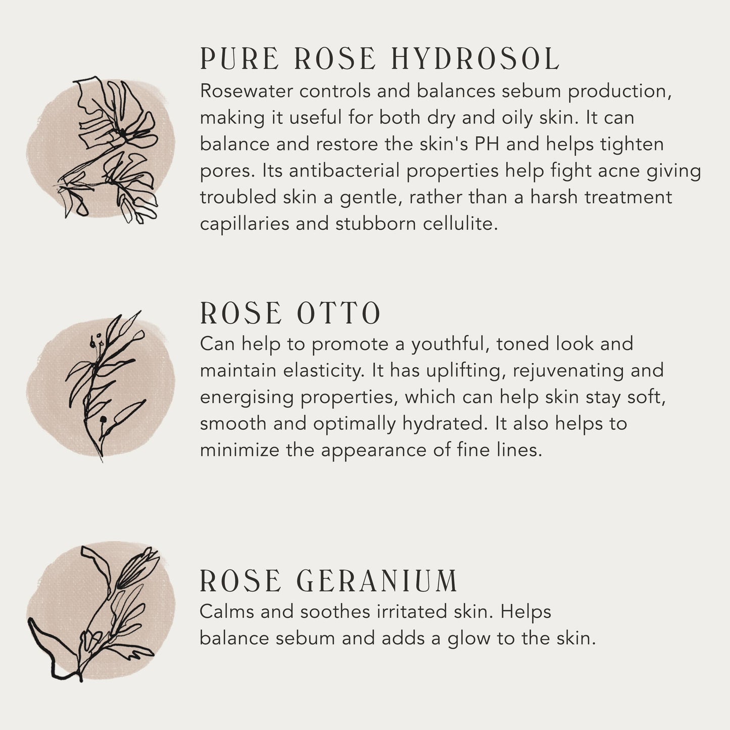 SOFIA | Luminous Rose Mist