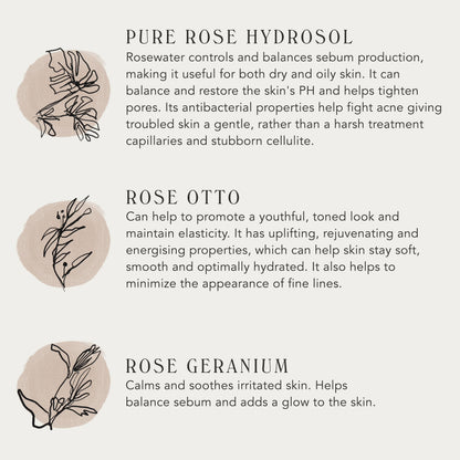 SOFIA | Luminous Rose Mist