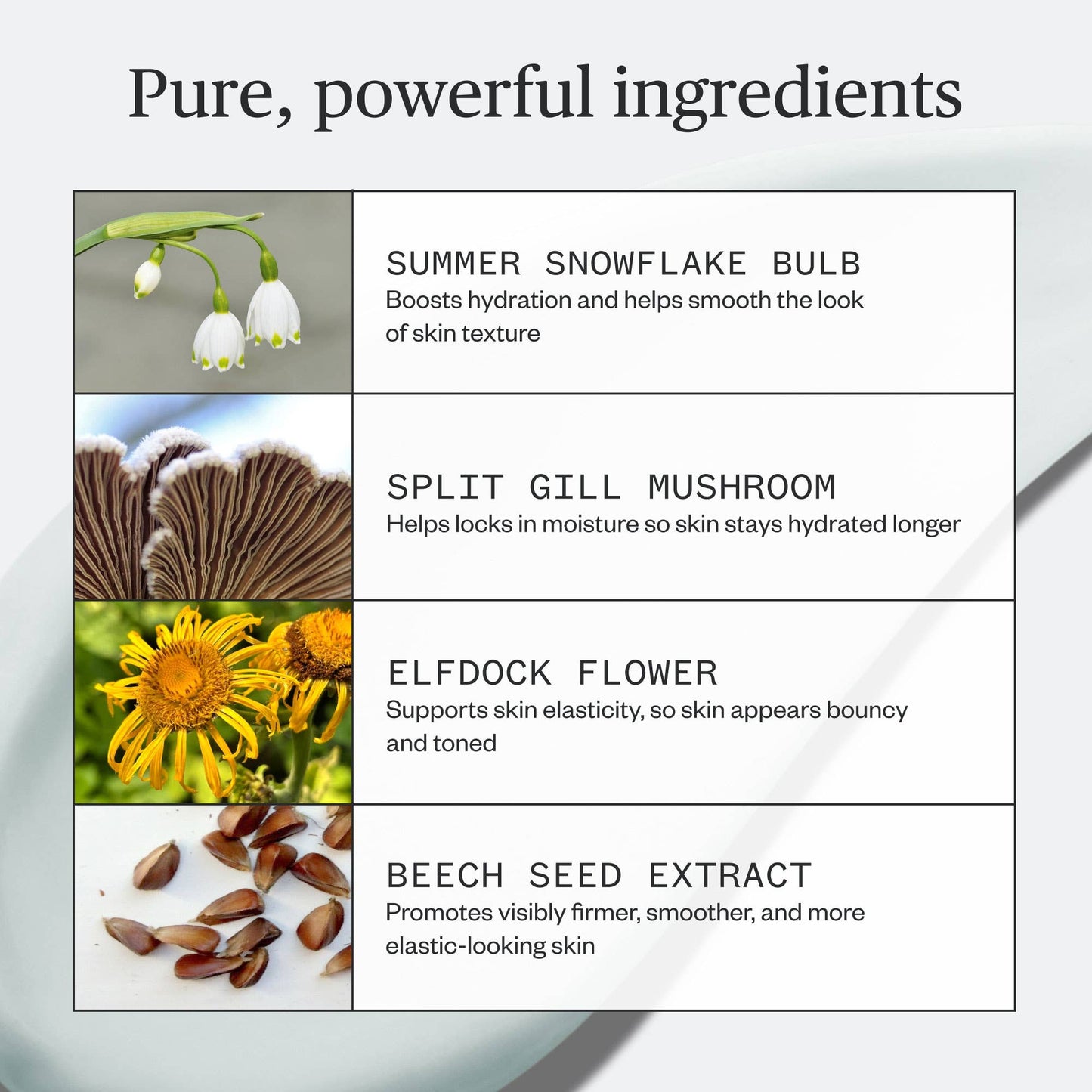 Ursa Major - Vital Spring Hydration Mask