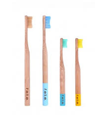 FETE Brushes