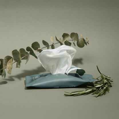 Wipes - Eucalyptus Nourishing Hand Sanitizing