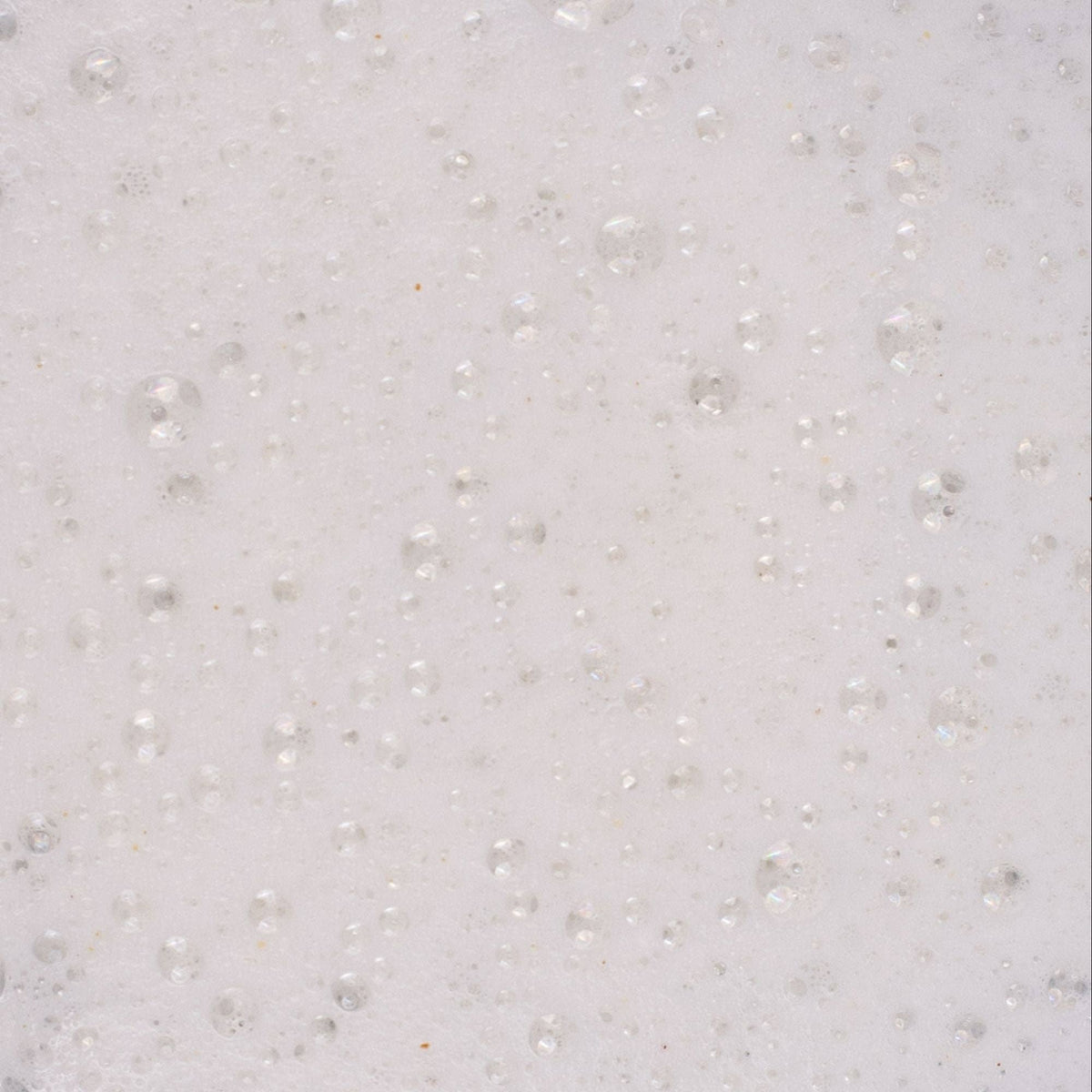 Powder-to-Foam Face Wash with Upcycled Willow Bark + Papaya