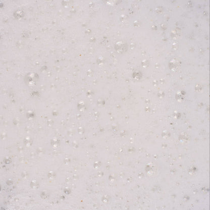 Powder-to-Foam Face Wash with Upcycled Willow Bark + Papaya